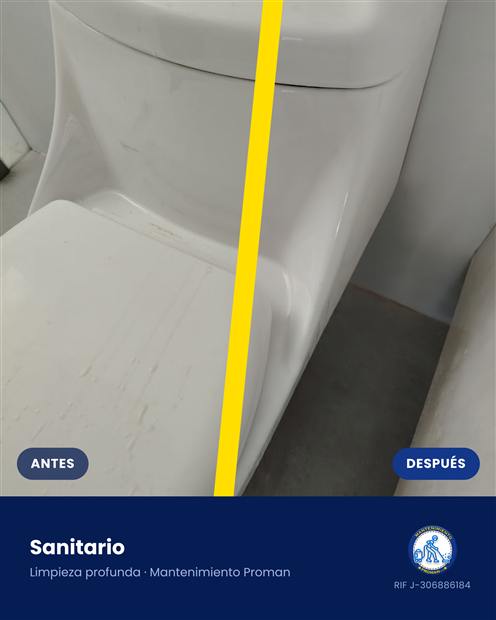 Antes y después: limpieza profunda de sanitario