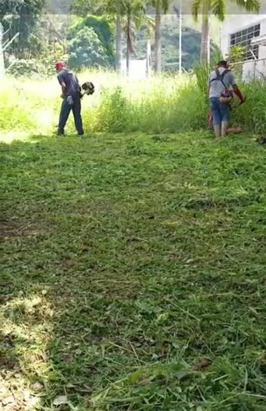 Mantenimiento de áreas verdes